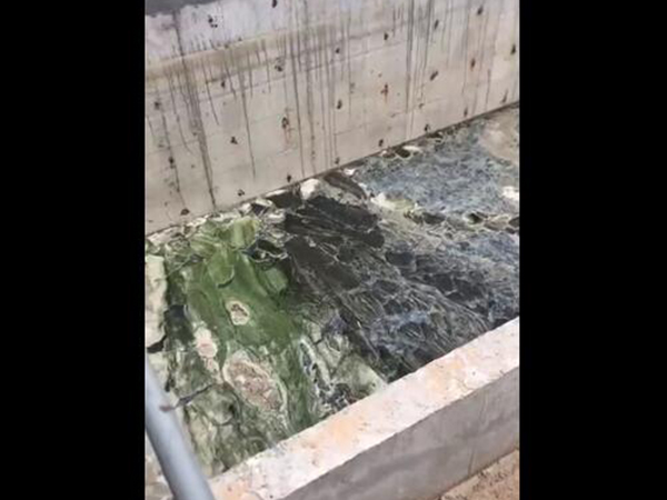 食品廠(chǎng)污水處理效果